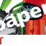 SET-ZR-fr-paper
